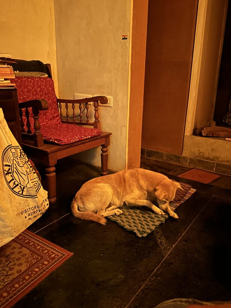 img 7114