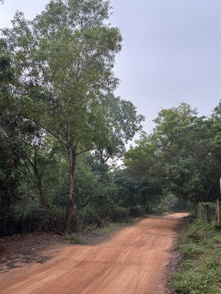 Auroville Matrimandir altın küre Hindistan