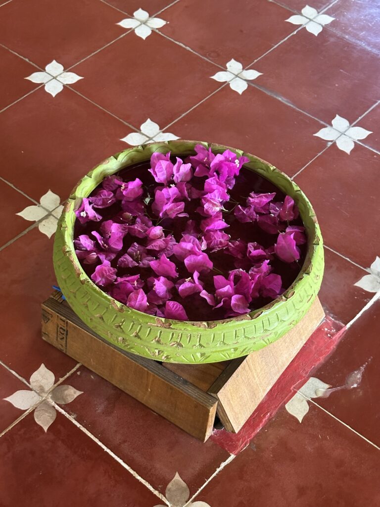 Hindistan'da Hatha Yoga Sadhana İnzivası: Arunachala'da 14 Günlük Derin Bir Yoga Deneyimi img 7465