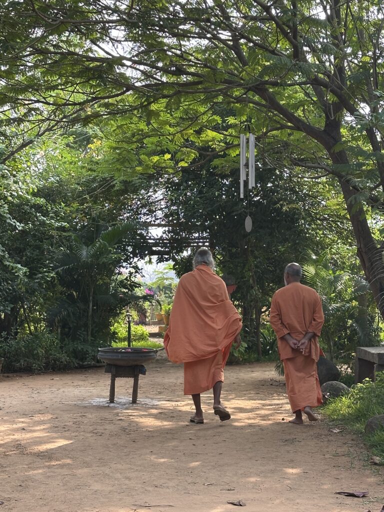 Hindistan'da Hatha Yoga Sadhana İnzivası: Arunachala'da 14 Günlük Derin Bir Yoga Deneyimi img 7683